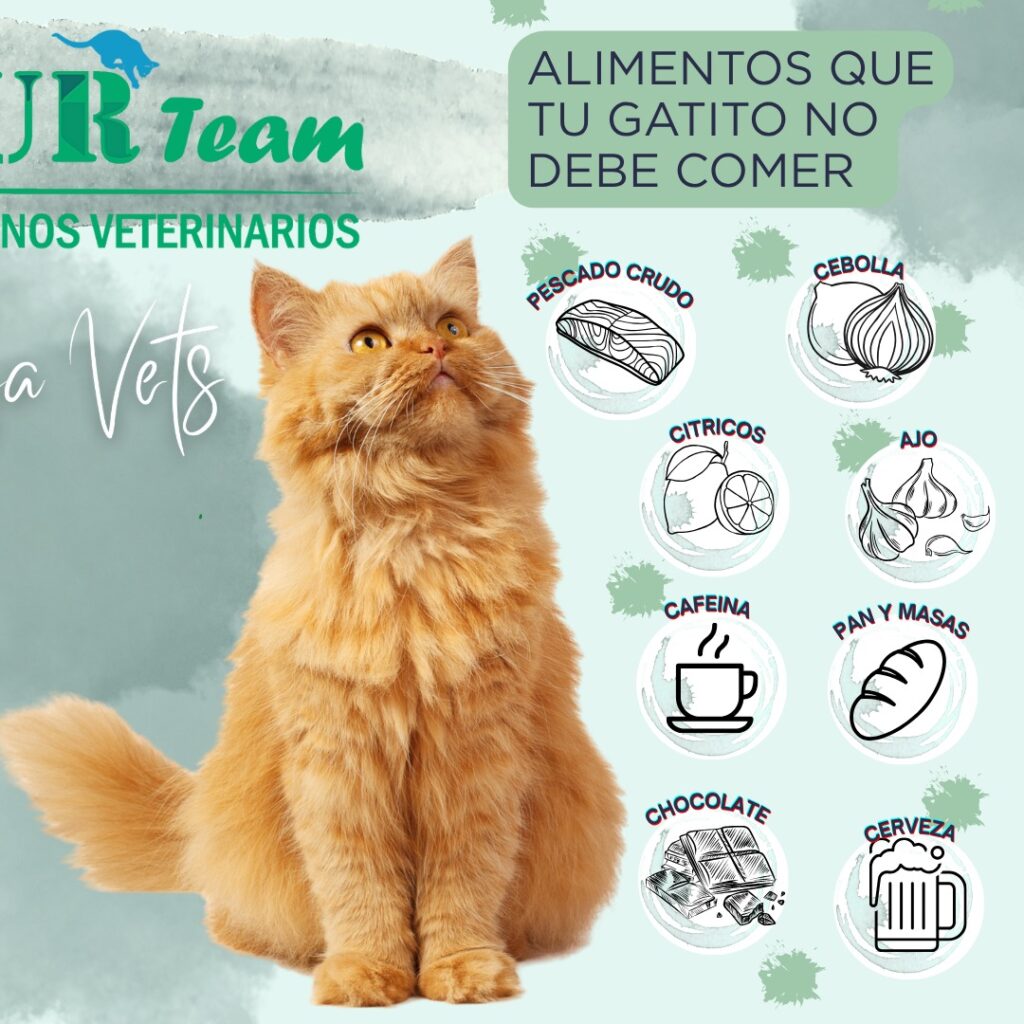 514596792_1538849654219304_3441664288055433961_n