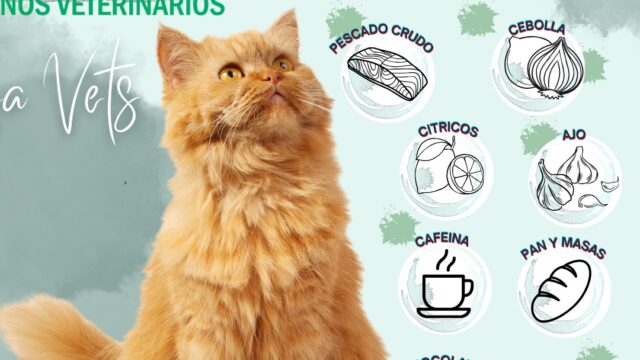 514596792_1538849654219304_3441664288055433961_n