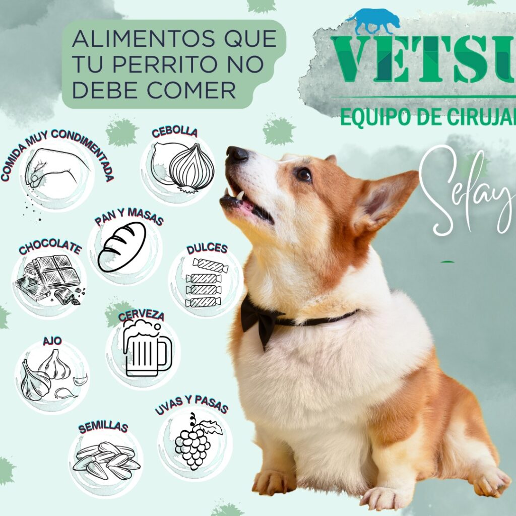 515107192_1538849647552638_8704593773867095576_n