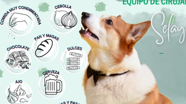 515107192_1538849647552638_8704593773867095576_n