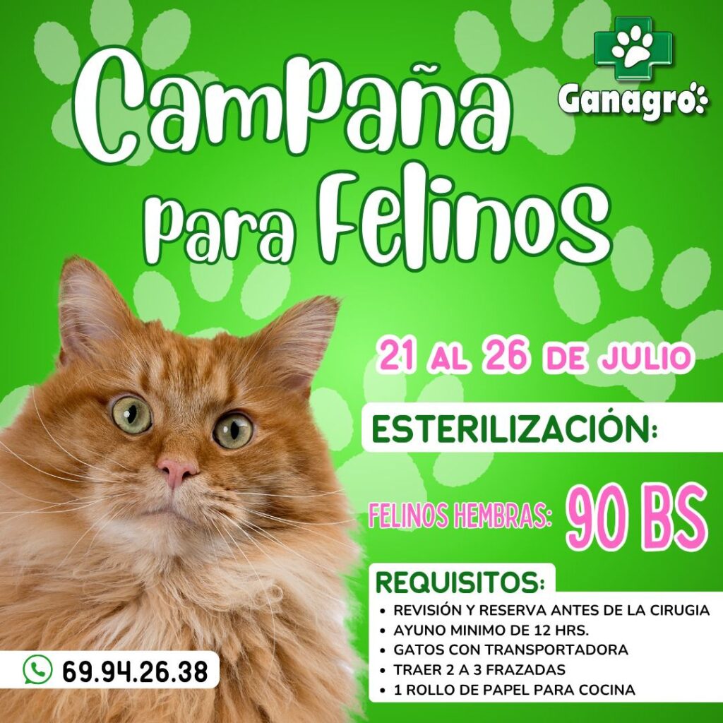 518283515_1308598797941971_956156135211514603_n