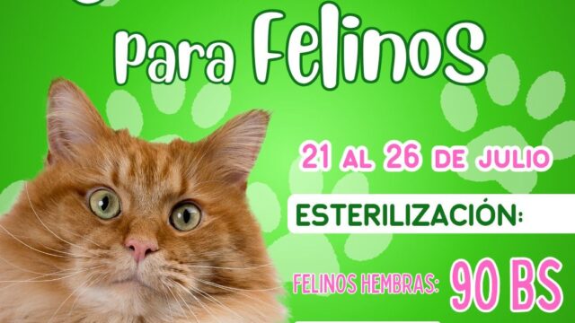 518283515_1308598797941971_956156135211514603_n