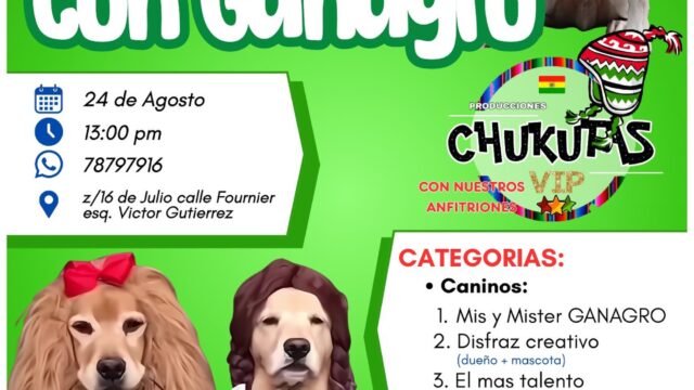 532405362_1333130225488828_11885034550796466_n