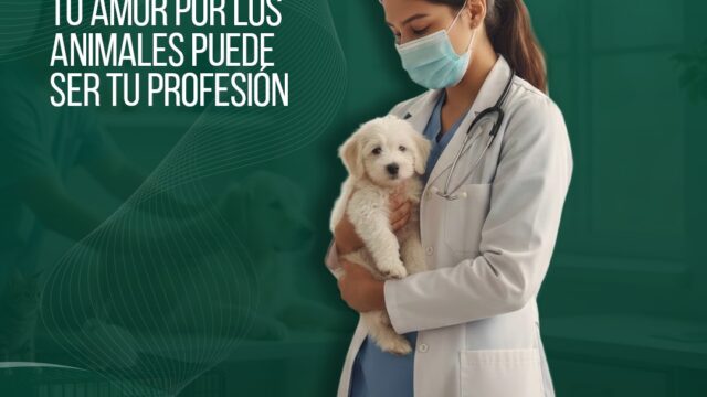 625298340_1338761448275219_5483827450990891289_n