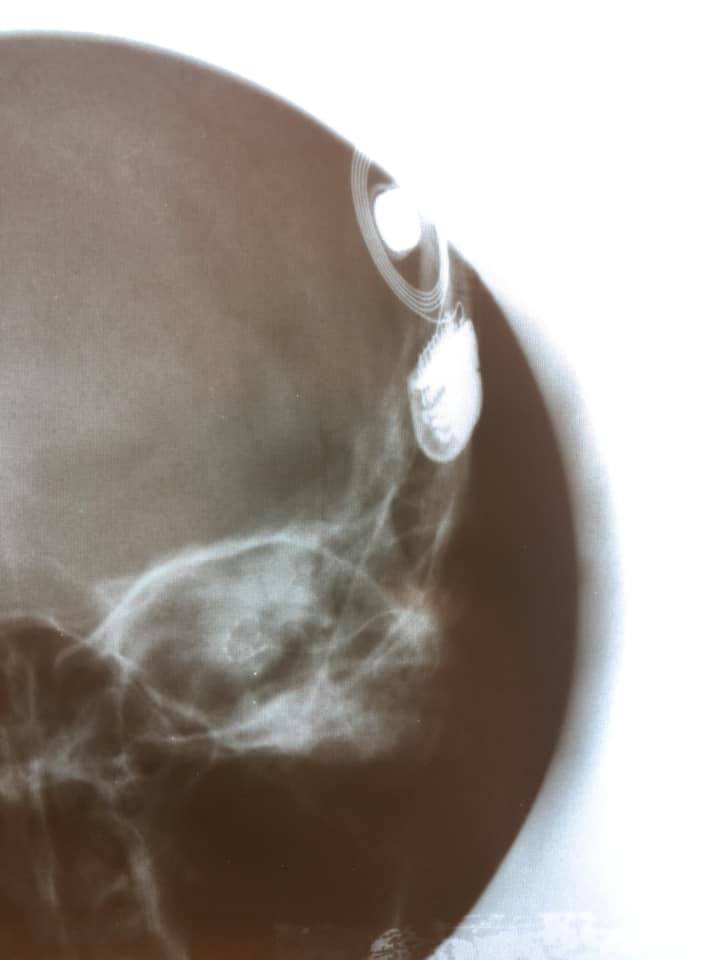 67474318_2273928452676441_7911660424469151744_n