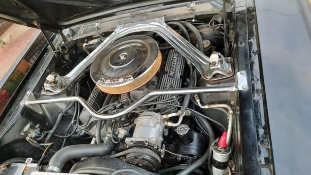 163824011_280000640228447_8775516402518735376_n