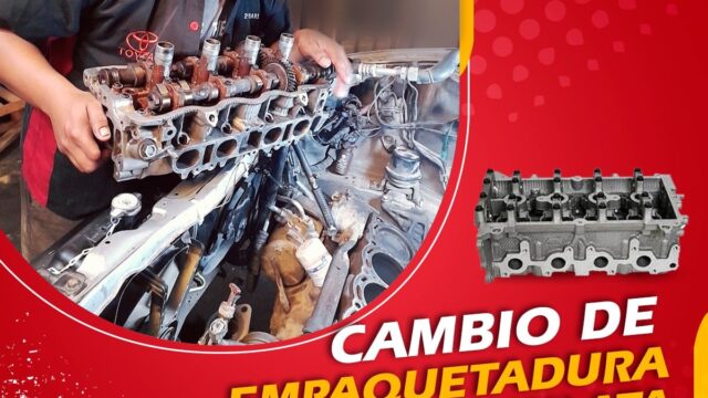 201247822_3154537538165790_6236281189168783519_n