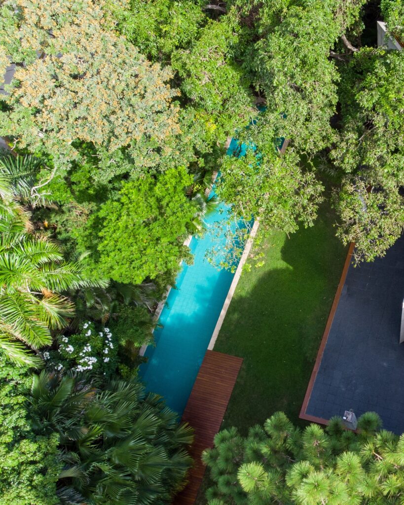 Bernarda Aparicio Arquitecta