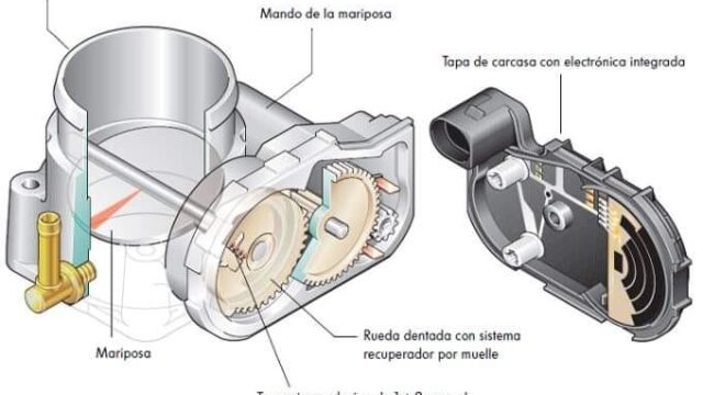 469403853_522794230910944_7796664969810223323_n