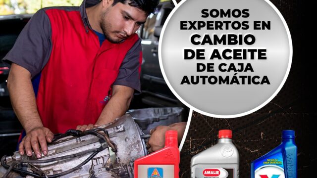 481194522_638443078557515_210608691648385244_n