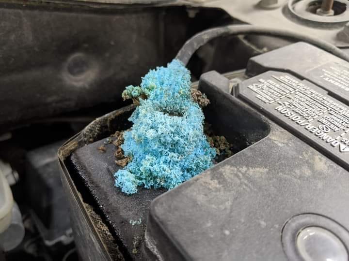 485315851_1047053224114891_1148328989394293350_n