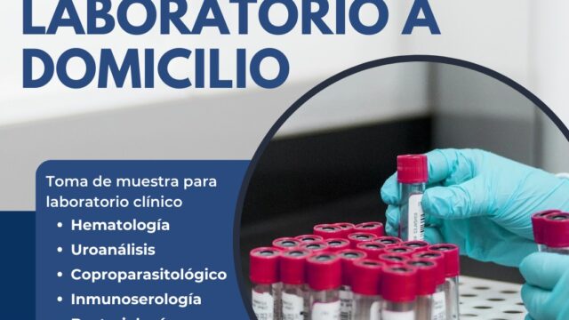 488903598_1213479084117824_8868630670550064655_n