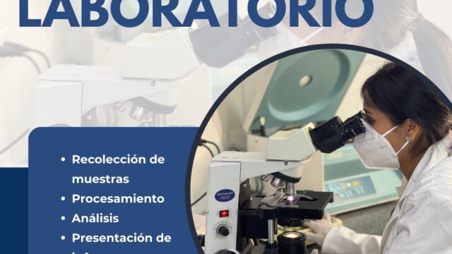 489175039_1213474217451644_219039760934508046_n