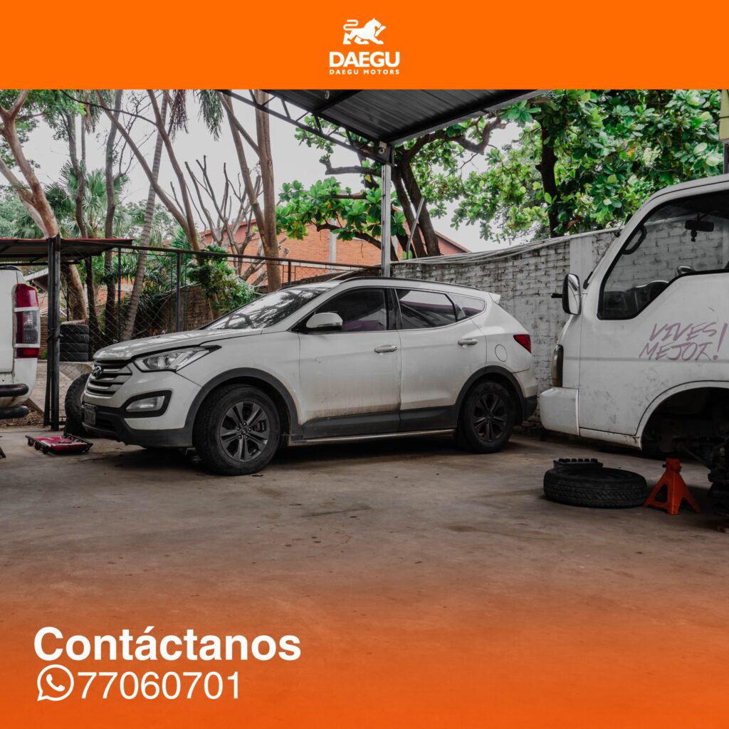 491843694_1217793307013134_920438255580077705_n