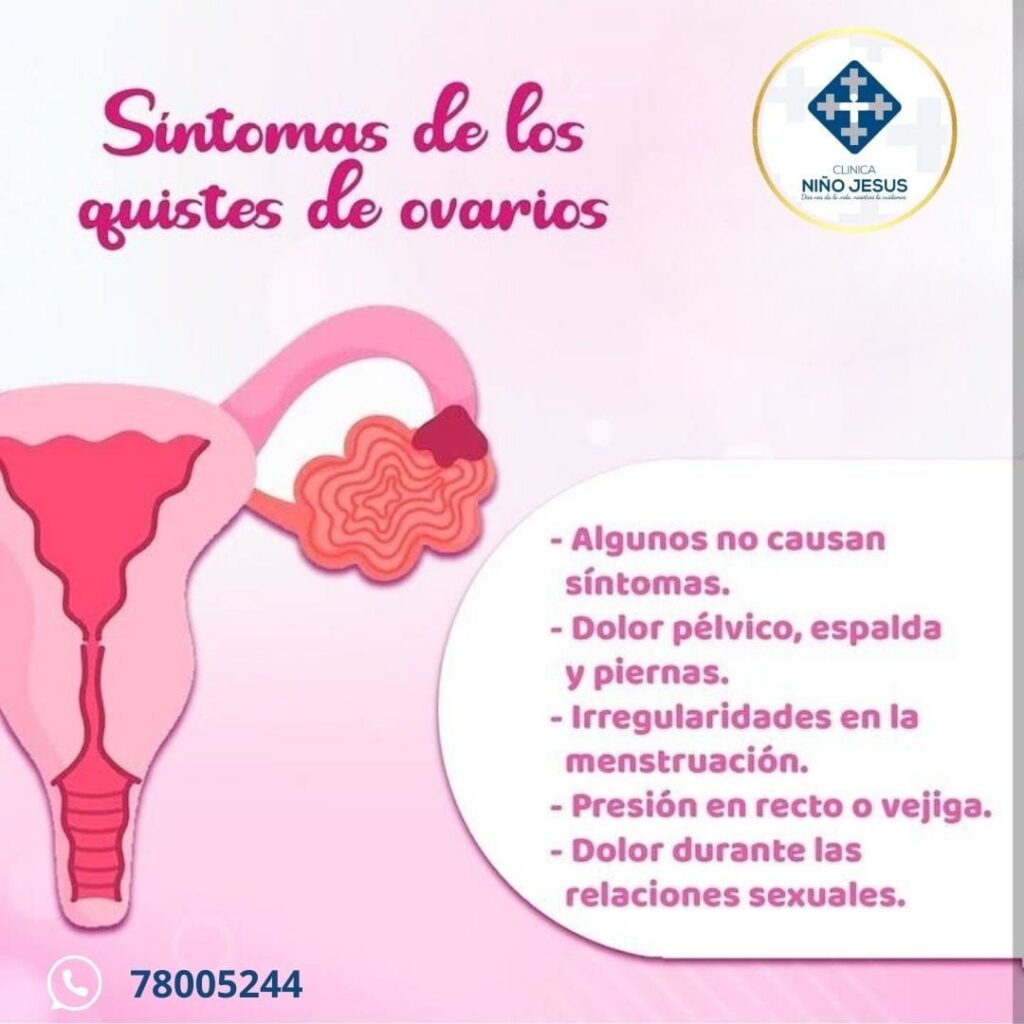 503913404_1272100428252604_5327770622850938612_n