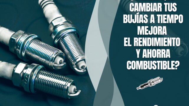 522921160_1317252980409283_2608510446689427866_n