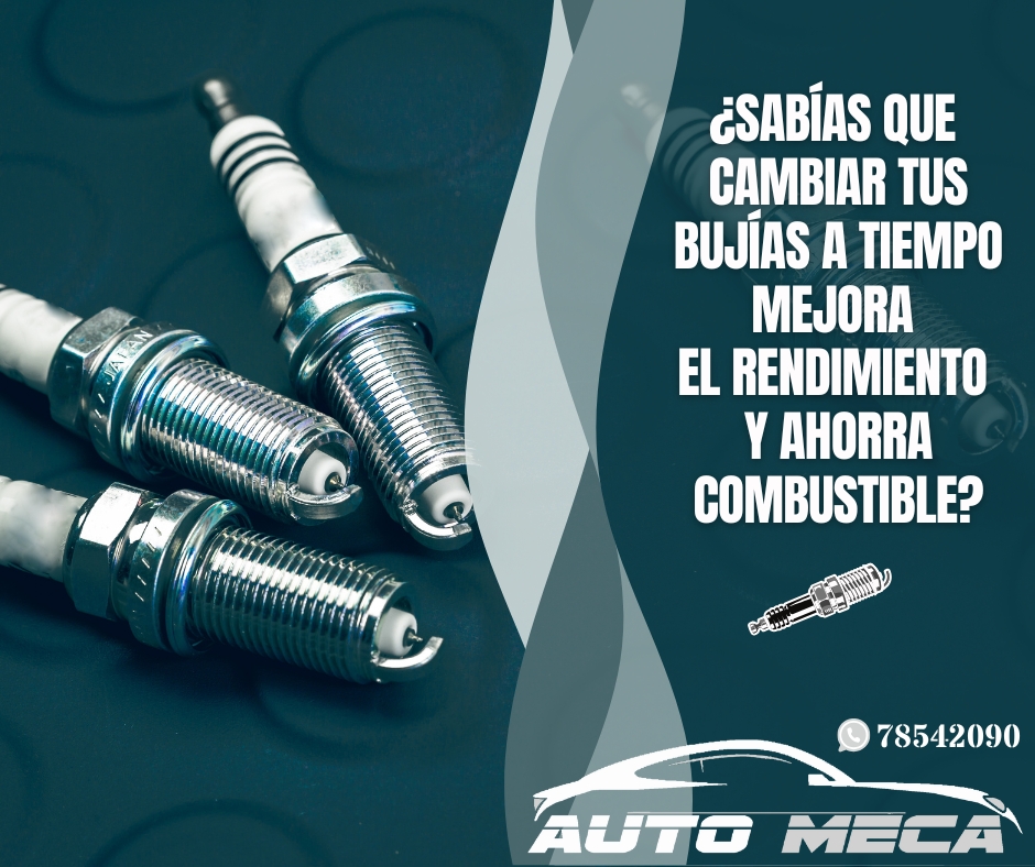 522921160_1317252980409283_2608510446689427866_n