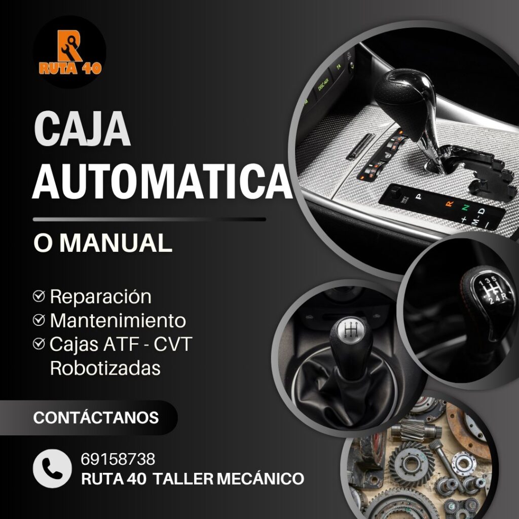 529236502_122152109972597225_8006810161635418528_n