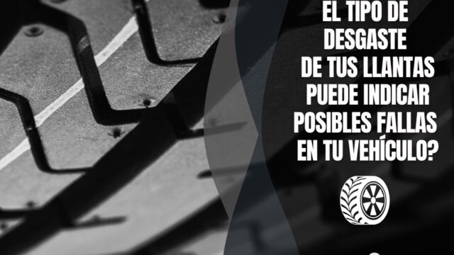 536270063_1339193821548532_6634217722175116279_n