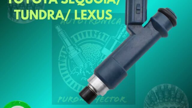 536288515_1213907994087213_3796139129081268121_n