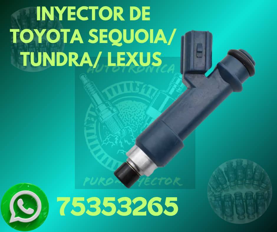 536288515_1213907994087213_3796139129081268121_n