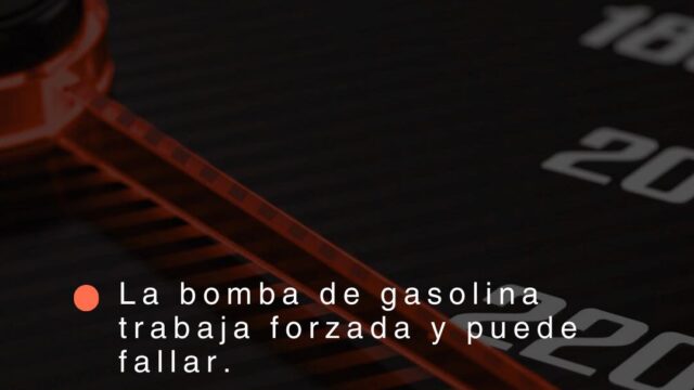 541768557_1282880370205593_4602051573488585147_n