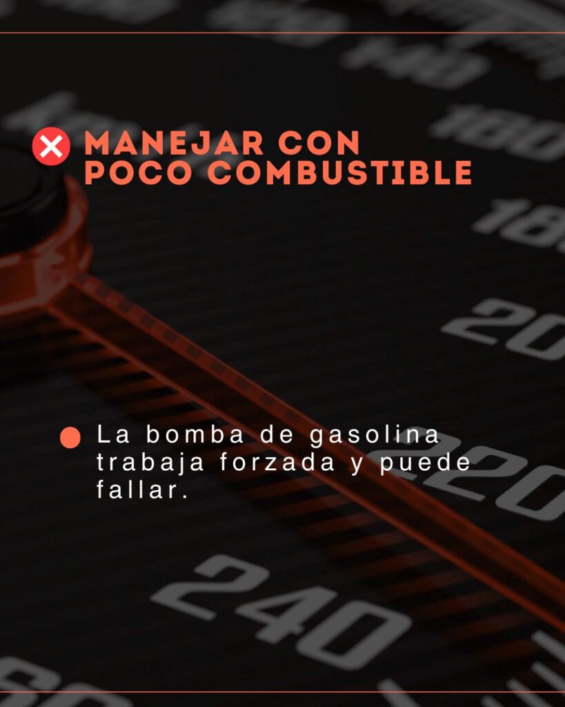 541768557_1282880370205593_4602051573488585147_n