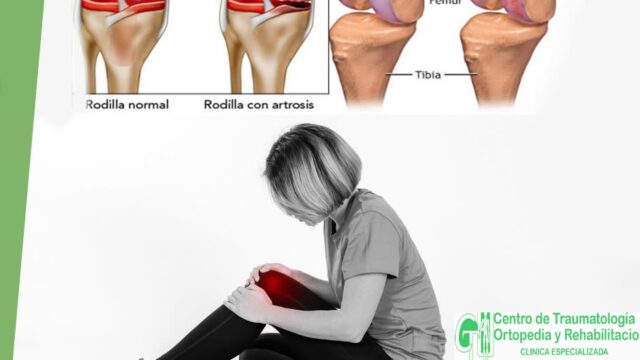 61659637_2804640562886595_8504487287092936704_n