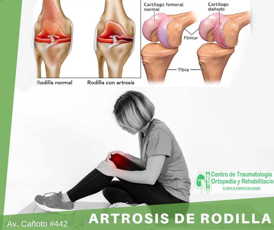 61659637_2804640562886595_8504487287092936704_n