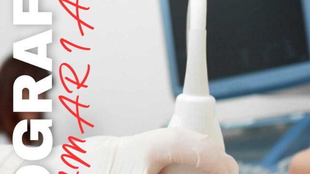 658139522_1537045315091446_5799900477917819397_n