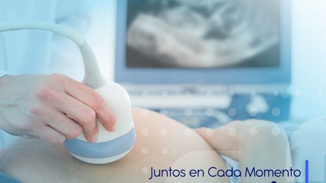 90657168_541837576441781_45374332322447360_n