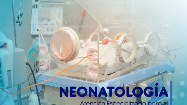 91561926_546621832630022_16984783179481088_n