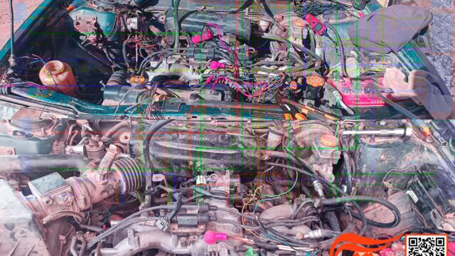 480156185_1018765870307270_214591047787480846_n