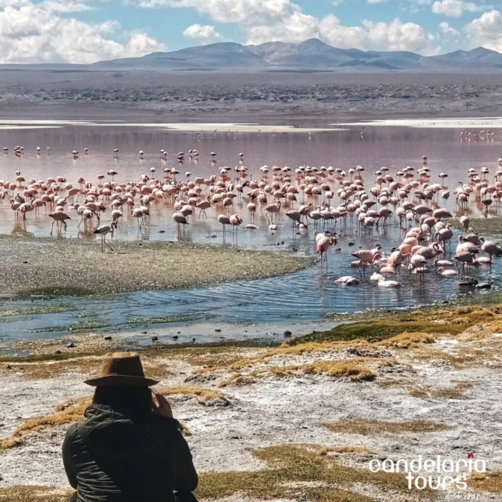 491460898_18061534811087410_7445639045673586834_n