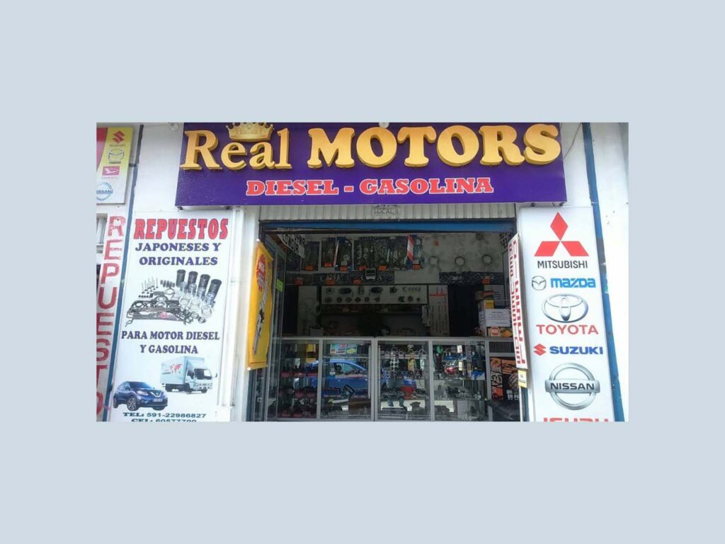 Real Motors