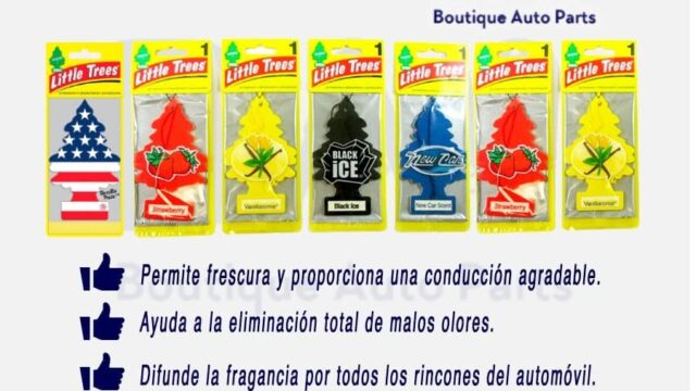 190461239_837857060189160_3557403589020026204_n - copia