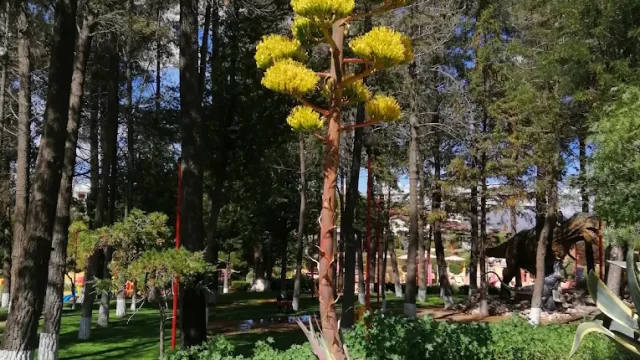 unnamed (7)